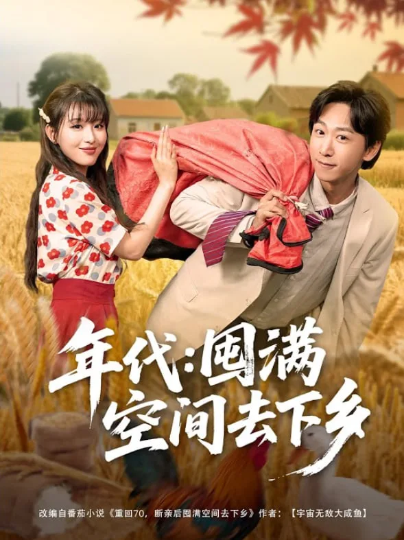 年代囤满空间去下乡海报