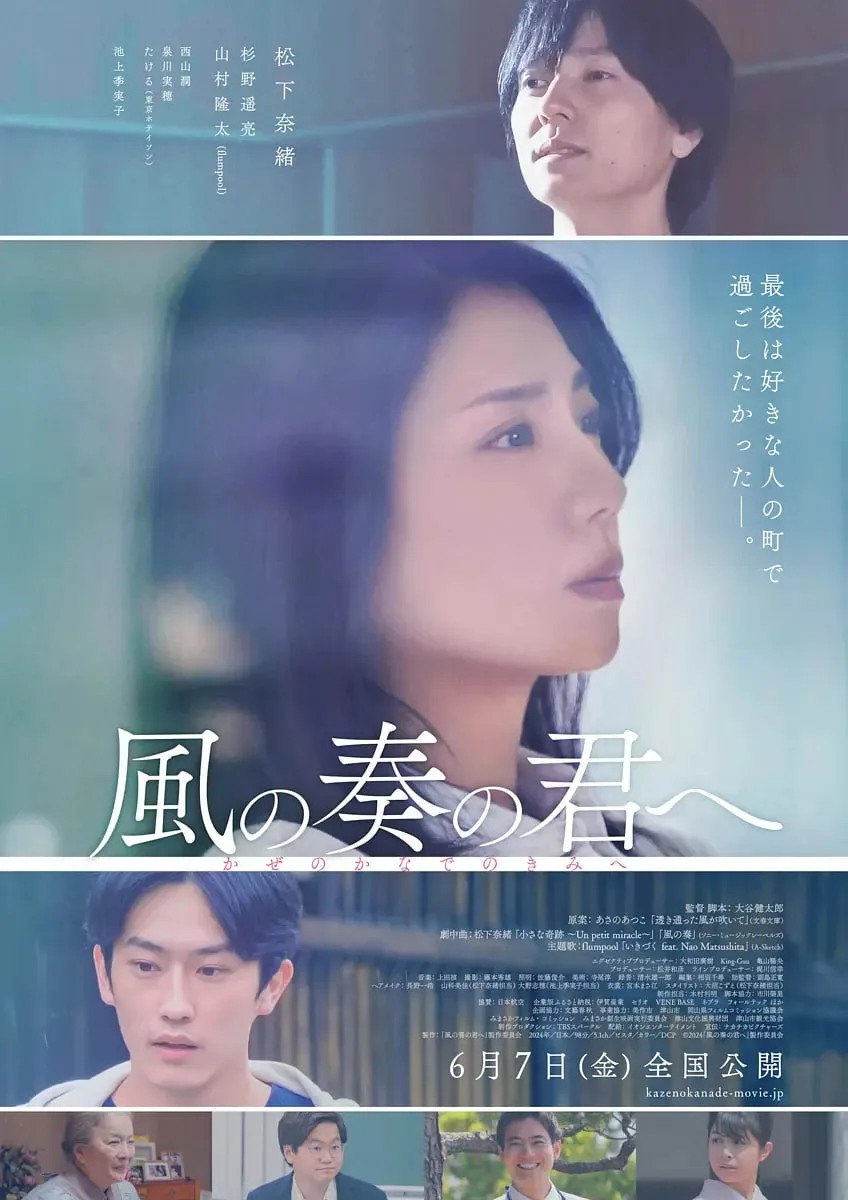 致演奏风的你海报