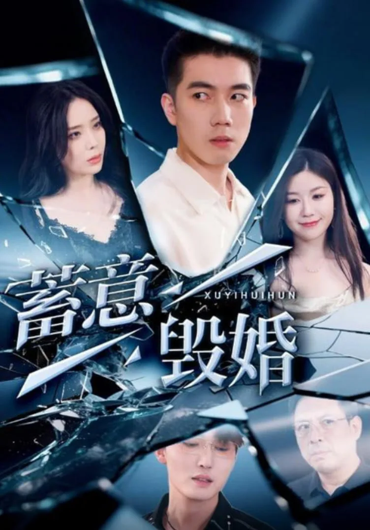 蓄意毁婚海报