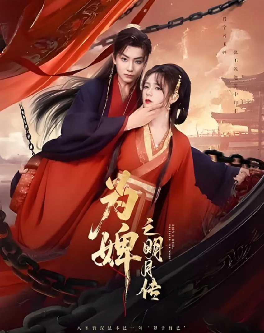 为婢之明月传海报