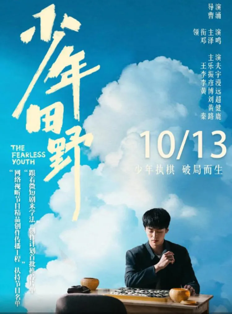 少年田野海报