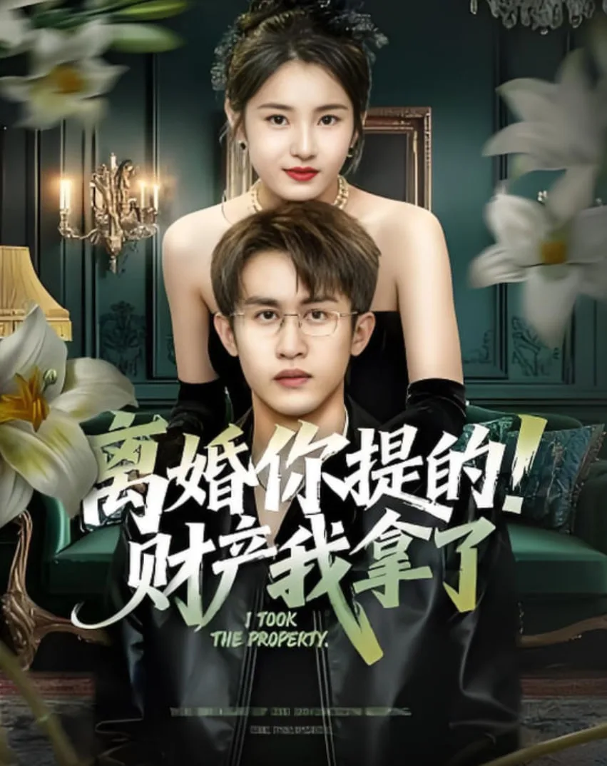 离婚你提的！财产我拿了