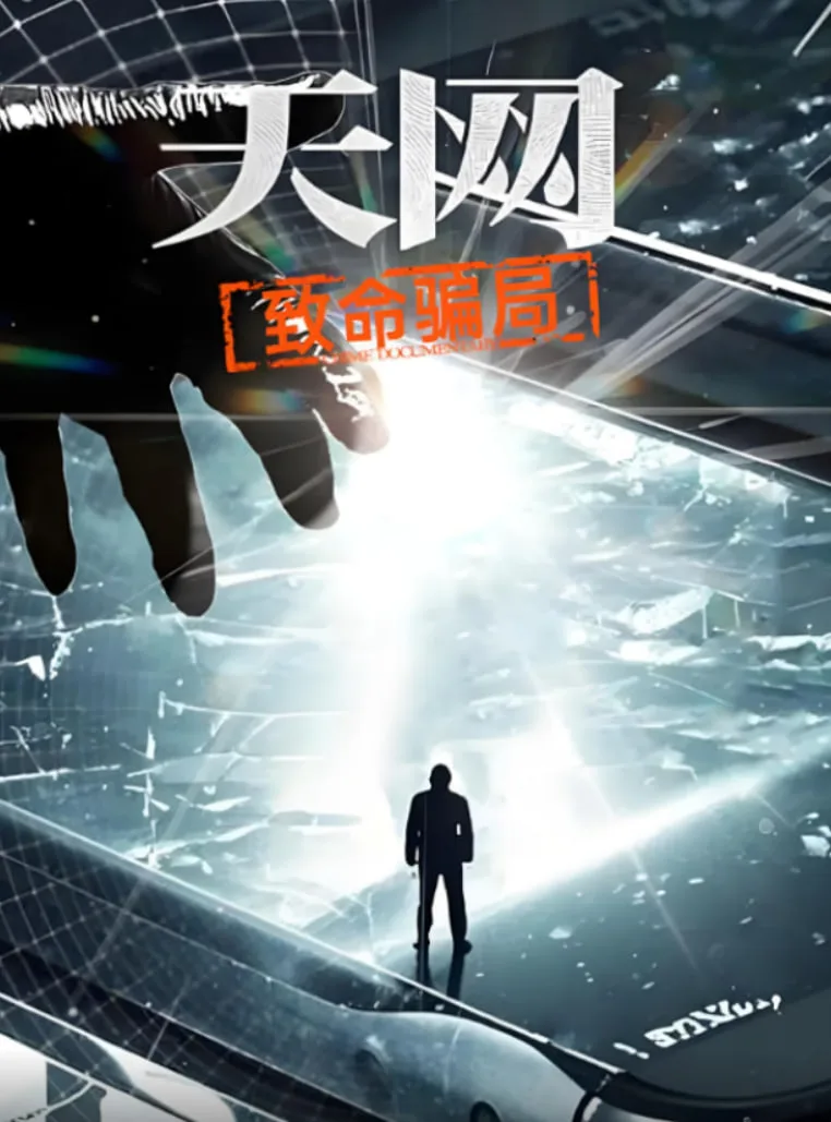 天网：致命骗局海报