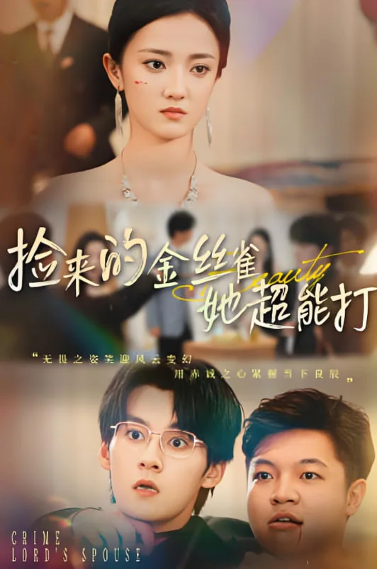 捡来的金丝雀她超能打（和小娇夫领证后夫人她不装了）海报