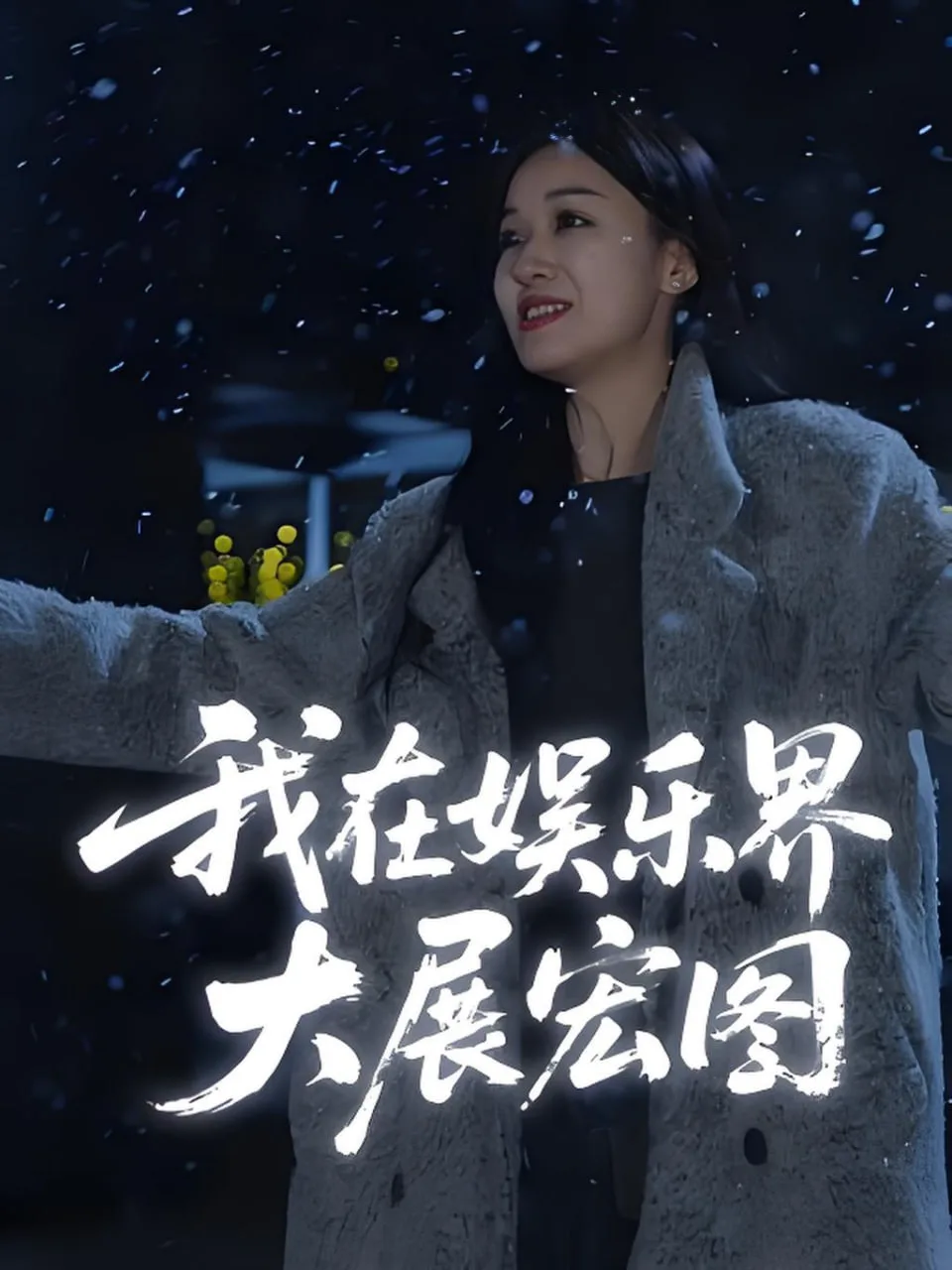 娱界掌舵人（我在娱乐界大展宏图）海报