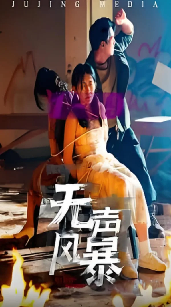 无声风暴海报