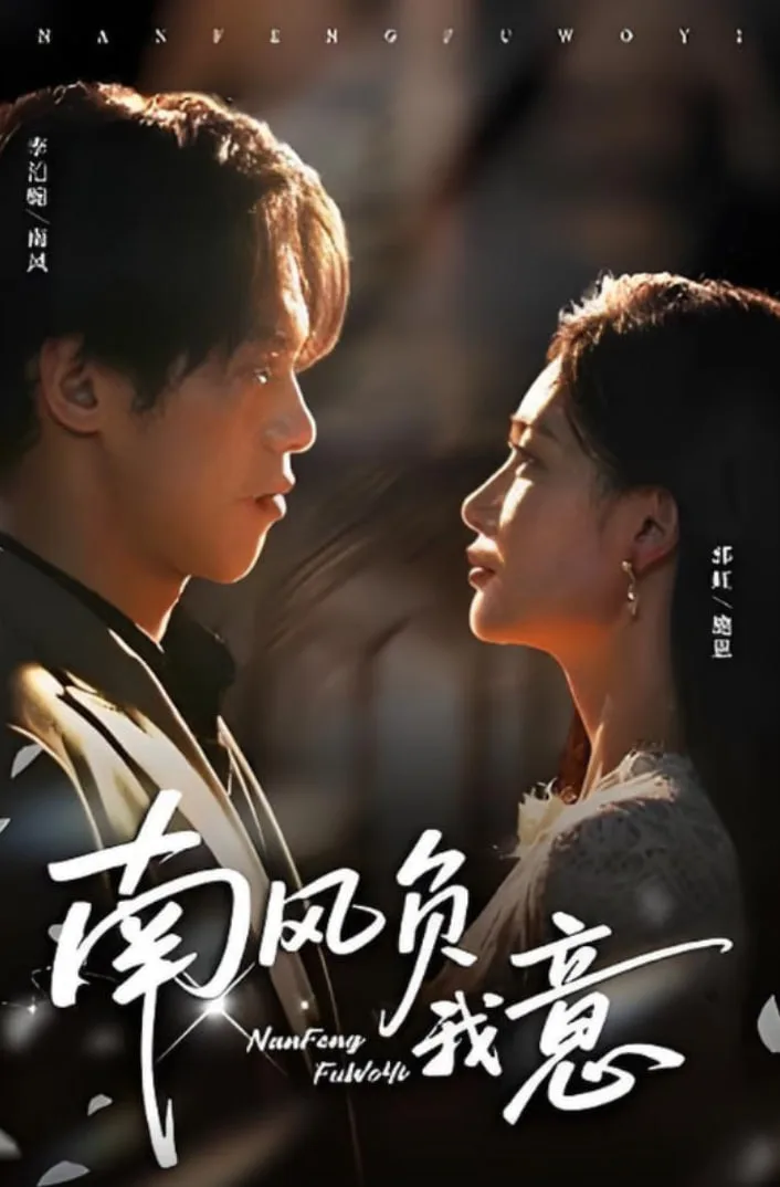 南风负我意海报