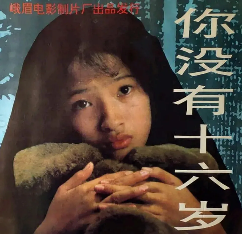 你没有十六岁海报