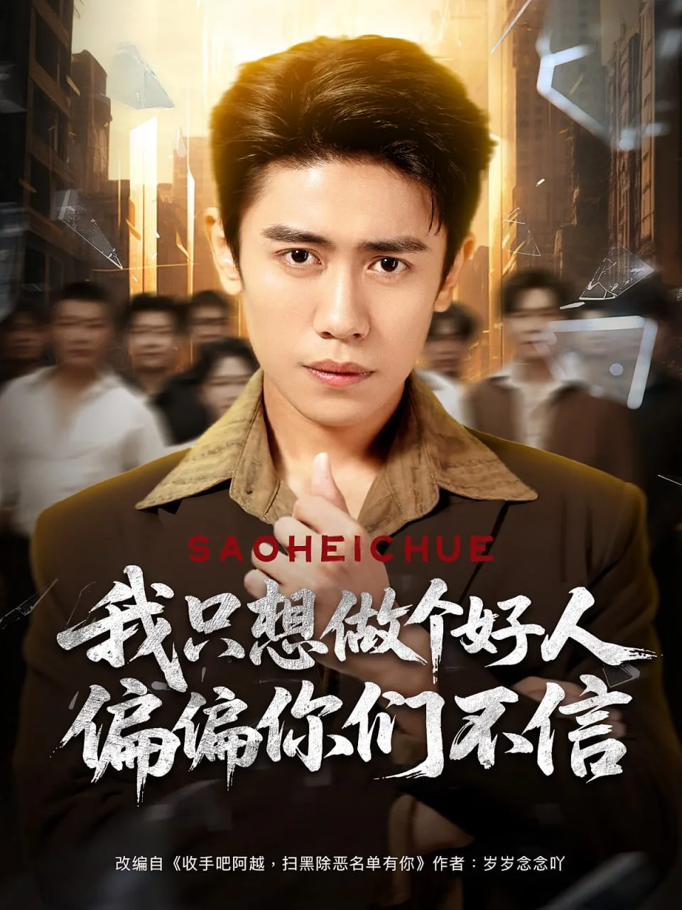 我只想做个好人偏偏你们不信海报