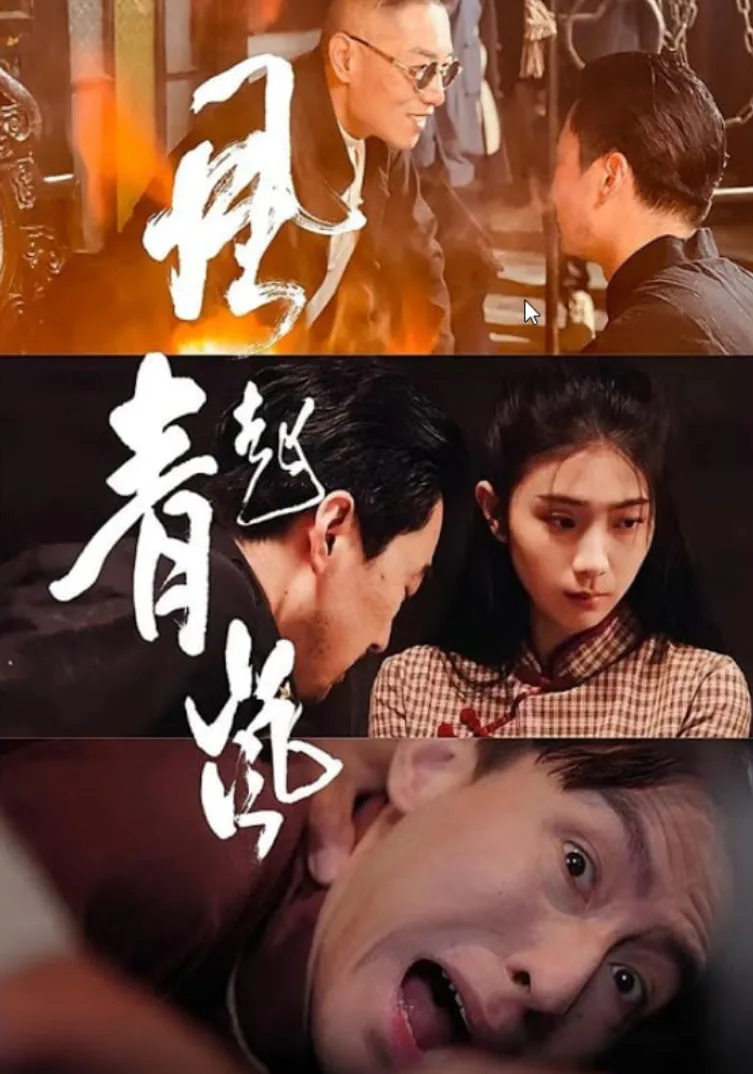 风起青岚海报