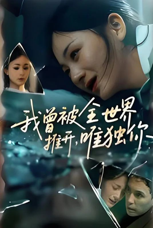我曾被全世界推开唯独你海报