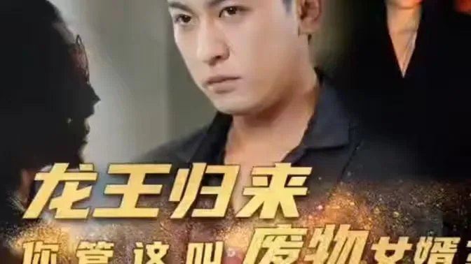 龙王归来你管这叫废物女婿海报