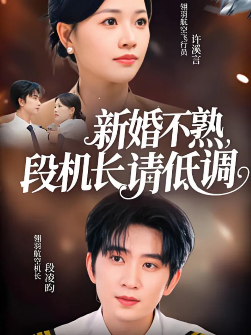 新婚不熟，段机长请低调海报