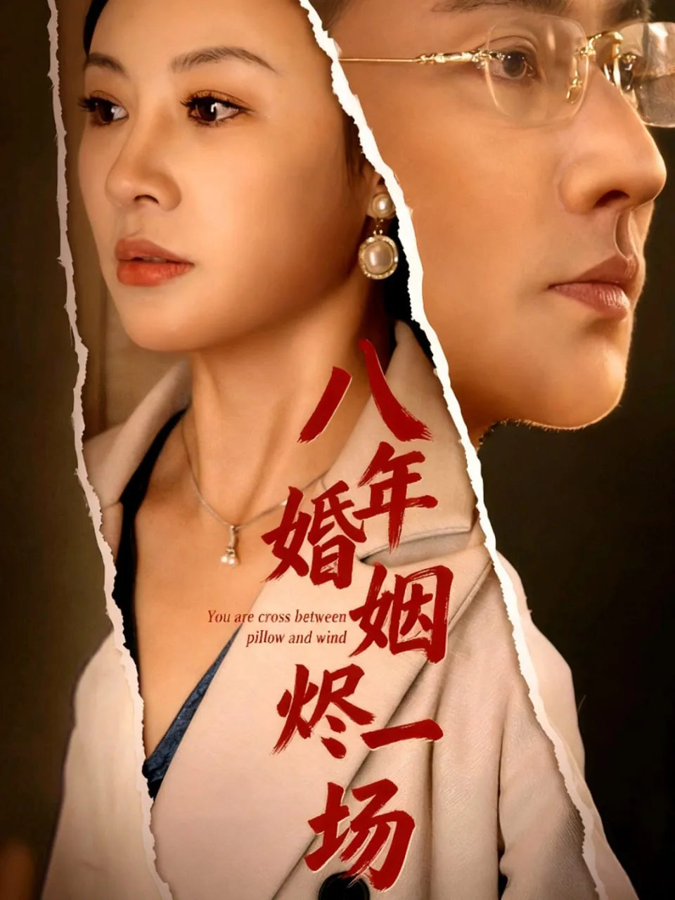 八年婚姻烬一场海报