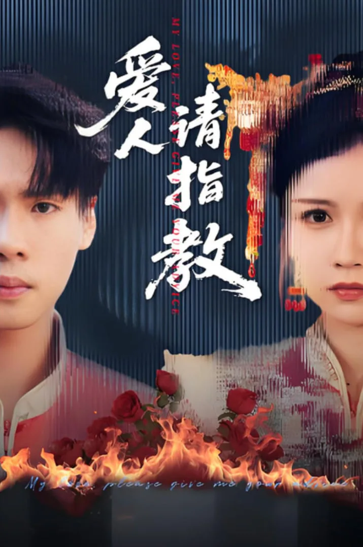 爱人请指教海报