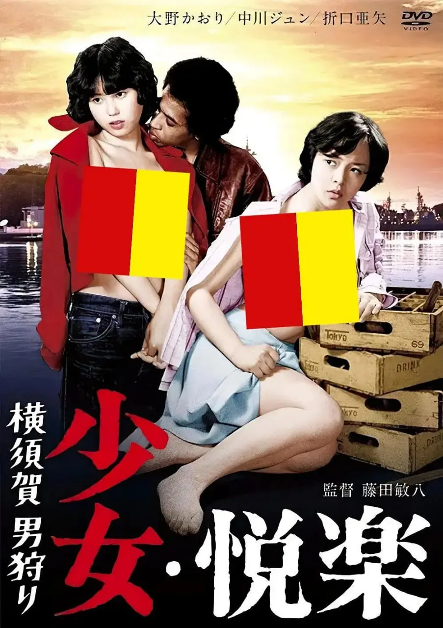 少女悦乐：横须贺猎男海报
