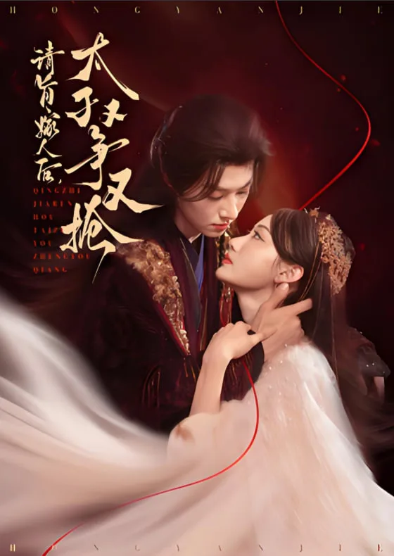 请旨嫁人后太子又争又抢海报