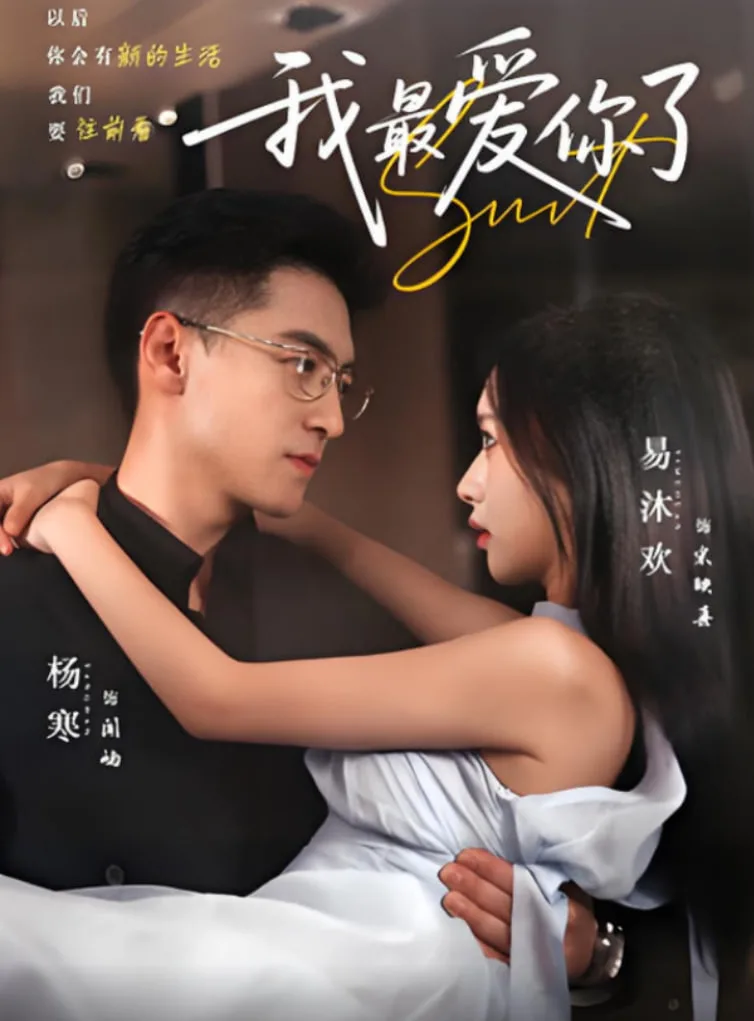 我最爱你了海报