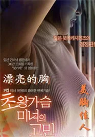 美胸佳人海报