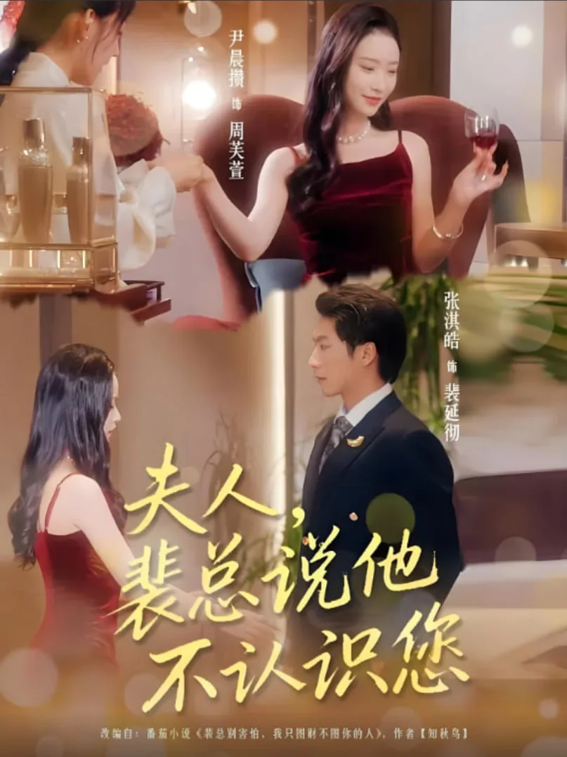 夫人裴总说他不认识您海报