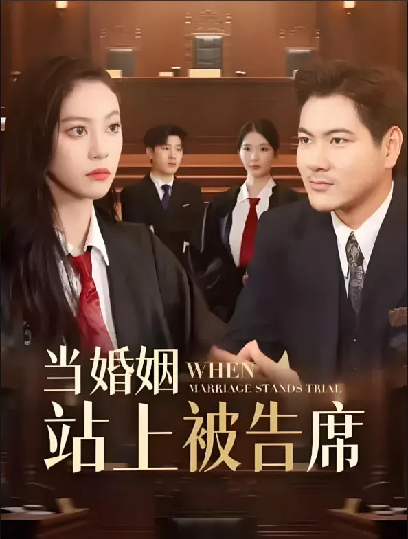 当婚姻站上被告席海报